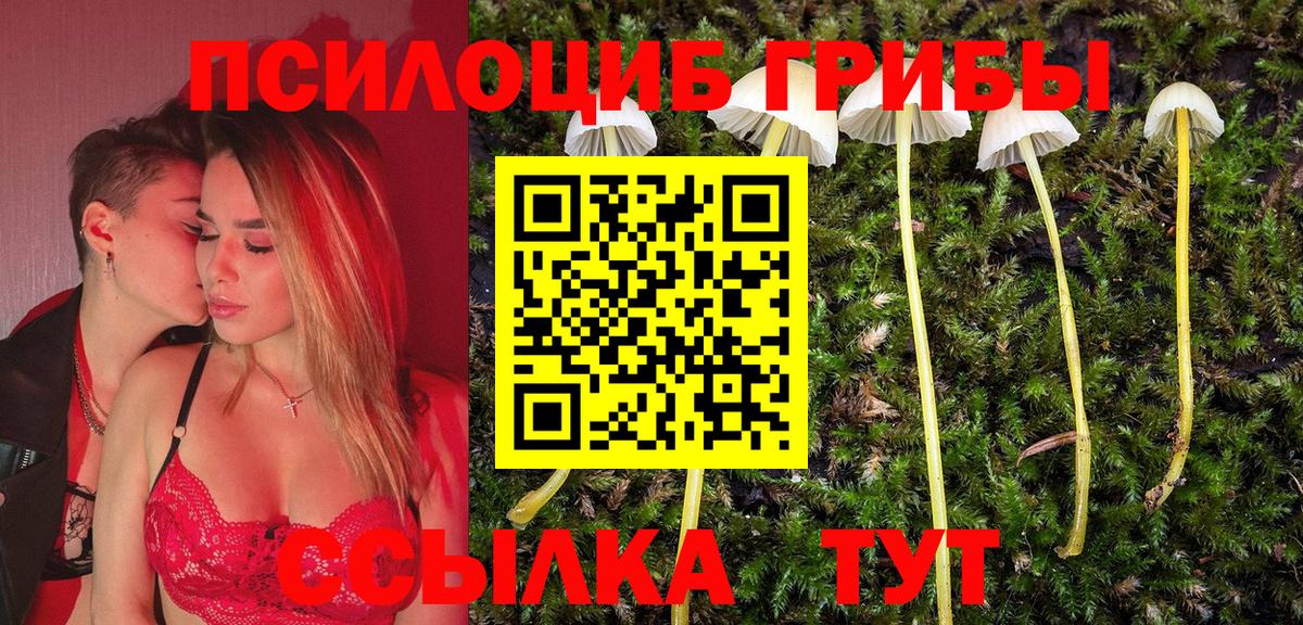 Сосновоборск  продажа наркотиков  Вход с VPN  Галлюциногенные грибы Magic Shrooms 