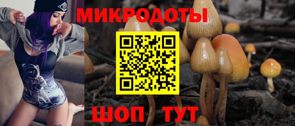 Галлюциногенные грибы GOLDEN TEACHER Сосновоборск