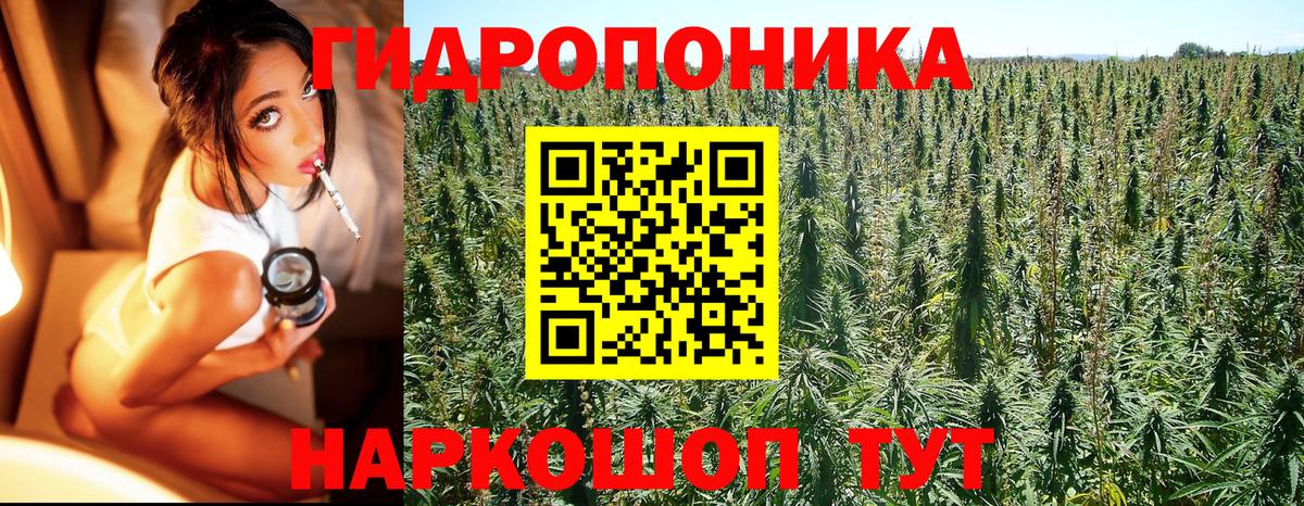 Бошки марихуана тримм  Канабис LSD WEED  Марихуана MAZAR  Сосновоборск  Вход с VPN 